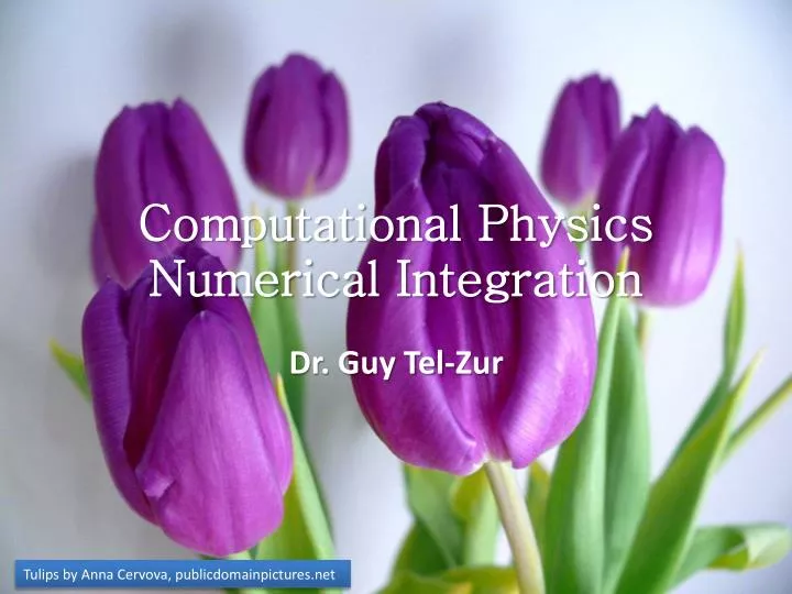 computational physics numerical integration