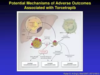 Rader D. N Engl J Med 2007; 357:2180-3
