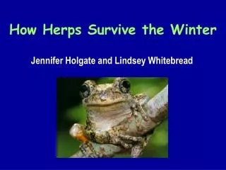 How Herps Survive the Winter