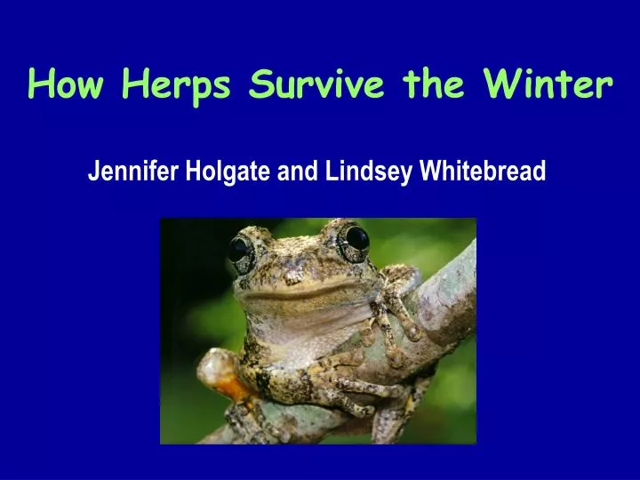 how herps survive the winter