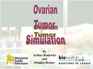 Ovarian Tumor Simulation