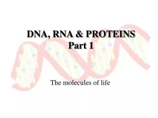 DNA, RNA &amp; PROTEINS Part 1