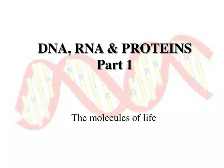 dna rna proteins part 1