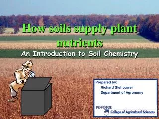 How soils supply plant nutrients An Introduction to Soil Chemistry