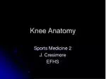 Knee Anatomy - slide 1