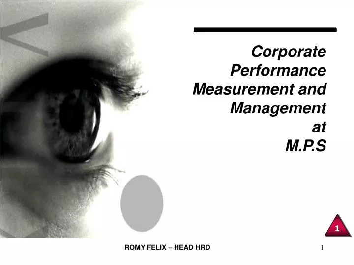 corporate performance measurement and management at m p s