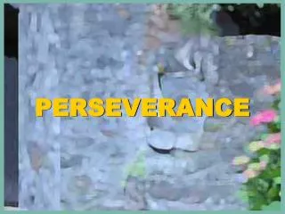 PERSEVERANCE