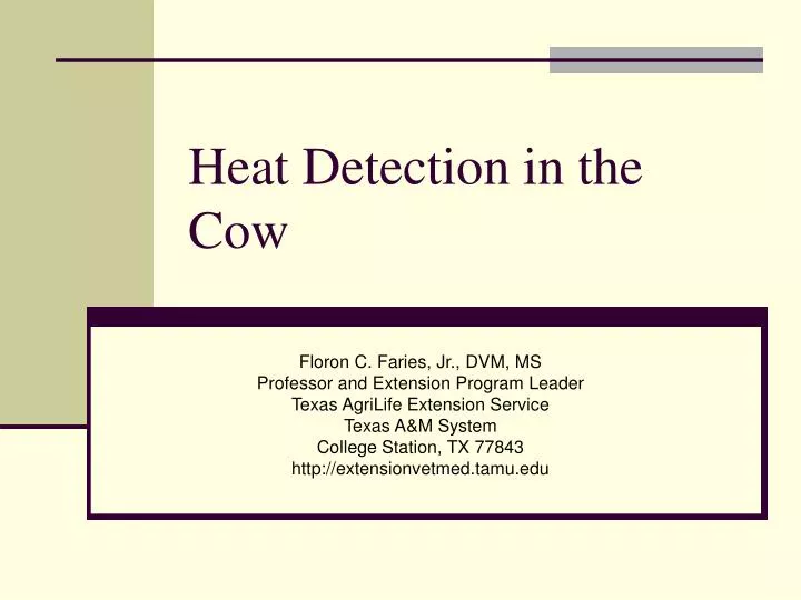 heat detection in the cow