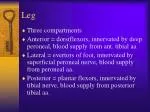 Understanding the Compartments of the Lower Leg: Structure, Function, and Blood Supply - slide 1