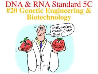 #20 Genetic Engineering &amp; Biotechnology