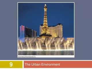 The Urban Environment
