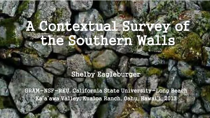 a contextual survey of the southern walls