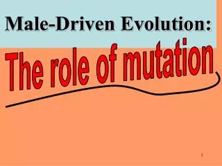 Male-Driven Evolution: