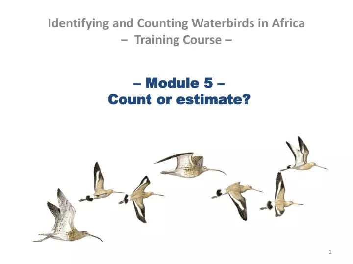 module 5 count or estimate