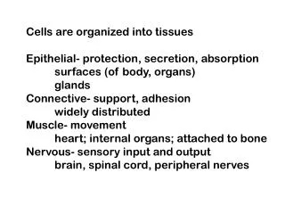 Cells are organized into tissues Epithelial- protection, secretion, absorption 	surfaces (of body, organs) 	glands Conne