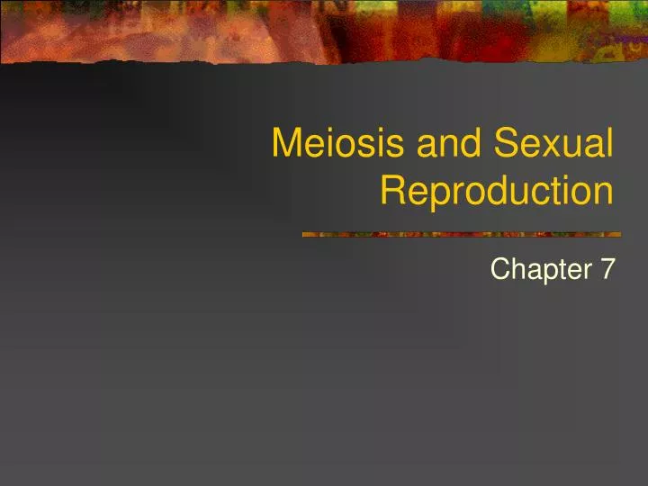 Ppt Meiosis And Sexual Reproduction Powerpoint Presentation Free Download Id1754733 8503