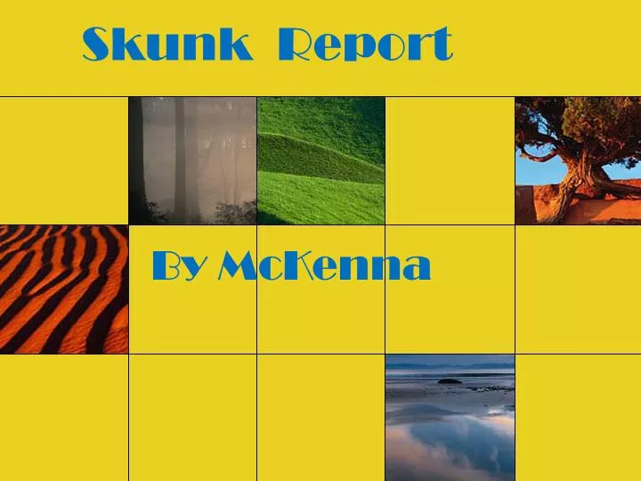 skunk report