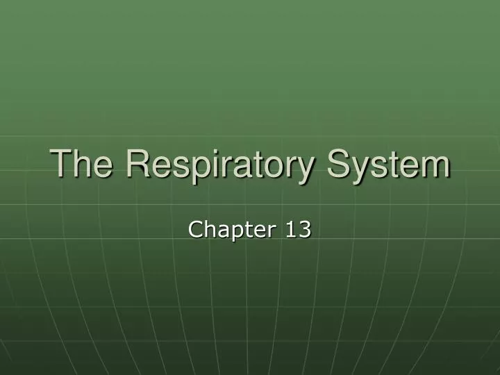 the respiratory system