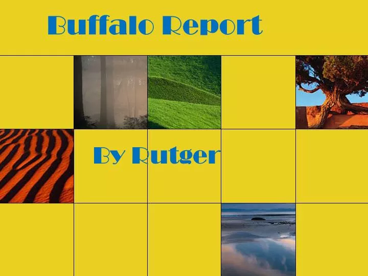 buffalo report