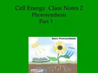 Cell Energy: Class Notes 2 Photosynthesis Part 1