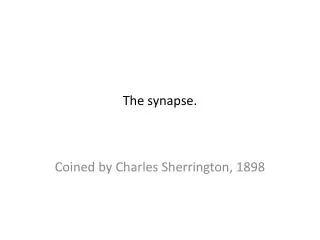 The synapse.