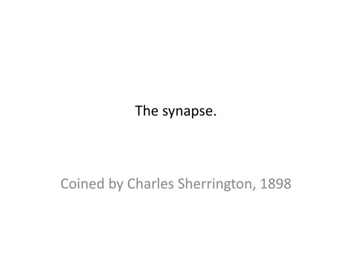 the synapse