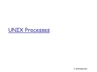 UNIX Processes