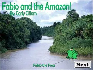 Fabio and the Amazon!