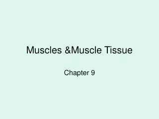 Muscles &amp;Muscle Tissue