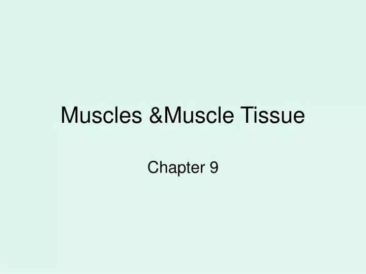 muscles muscle tissue