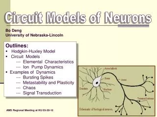 Circuit Models of Neurons