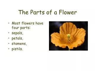 The Parts of a Flower