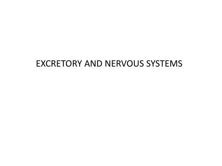 excretory and nervous systems