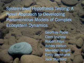 System-level Hypothesis Testing: A Novel Approach to Developing Parsimonious Models of Complex Ecosystem Dynamics