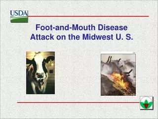 Foot-and-Mouth Disease Attack on the Midwest U. S.