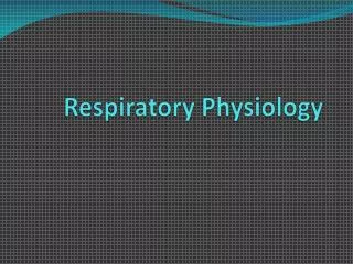 Respiratory Physiology