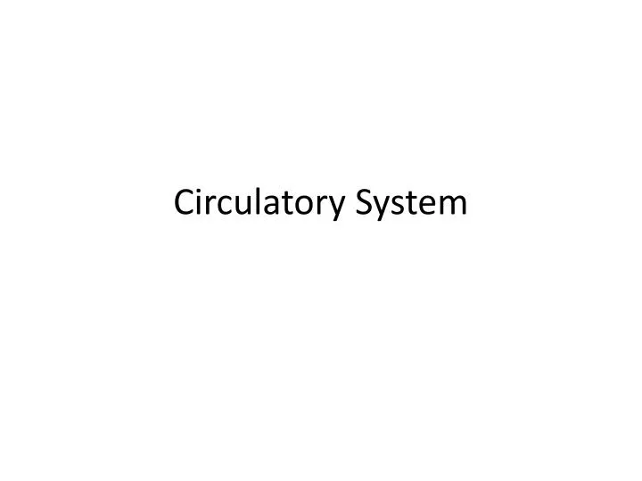 circulatory system