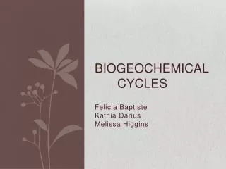 Biogeochemical 	Cycles