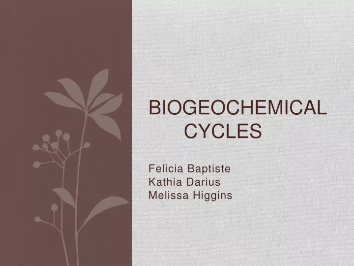 biogeochemical cycles