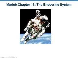 Marieb Chapter 16: The Endocrine System