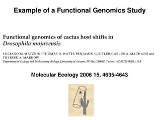 Example of a Functional Genomics Study