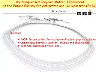 The Compressed Baryonic Matter Experiment at the Future Facility for Antiproton and Ion Research (FAIR)