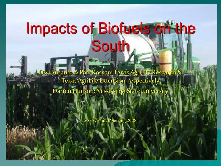 impacts of biofuels on the south