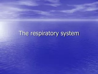 The respiratory system