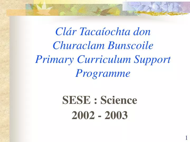 cl r taca ochta don churaclam bunscoile primary curriculum support programme