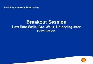 Breakout Session Low Rate Wells, Gas Wells, Unloading after Stimulation
