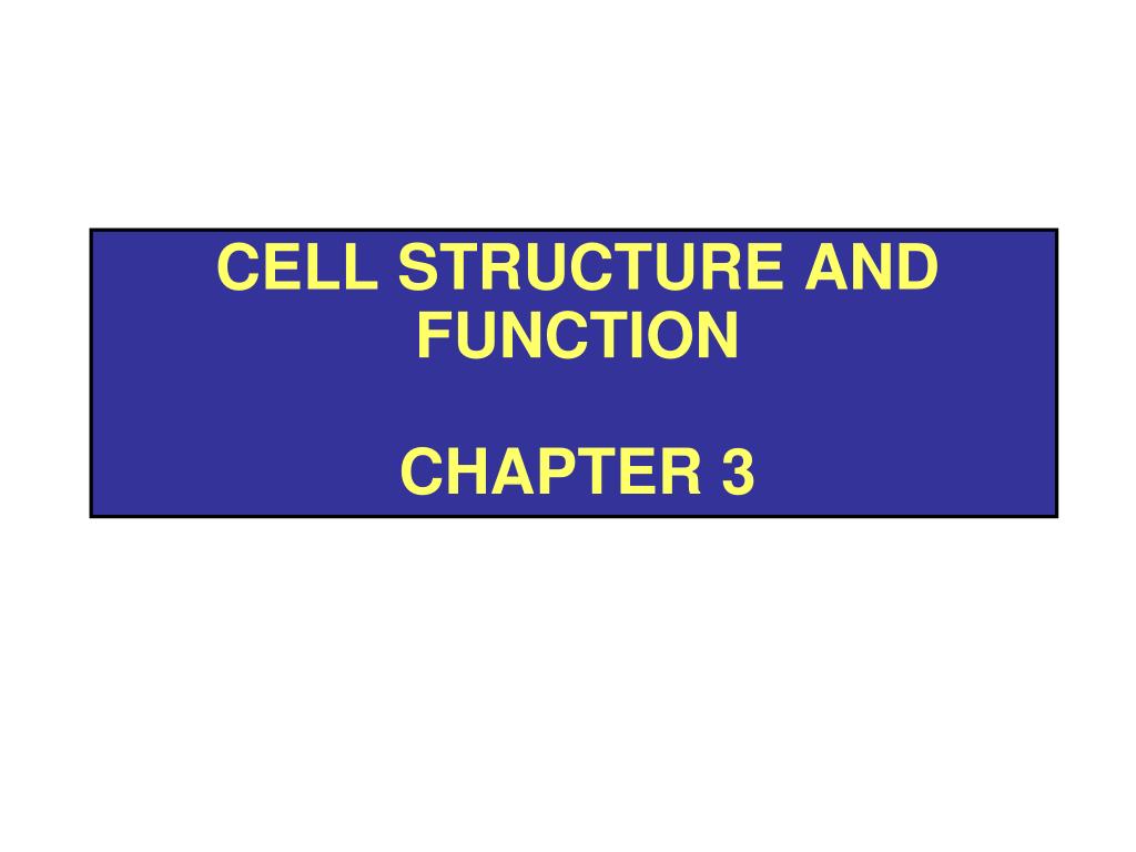 PPT - Cell structure and function Chapter 3 PowerPoint Presentation ...