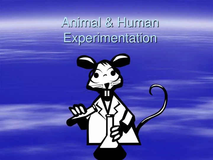 animal human experimentation