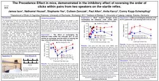 The Precedence Effect in mice, demonstrated in the inhibitory effect of reversing the order of clicks within pairs from