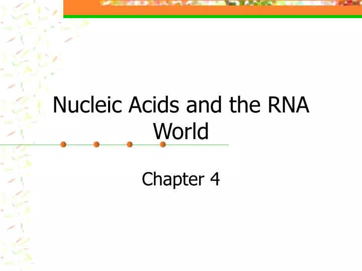 nucleic acids and the rna world